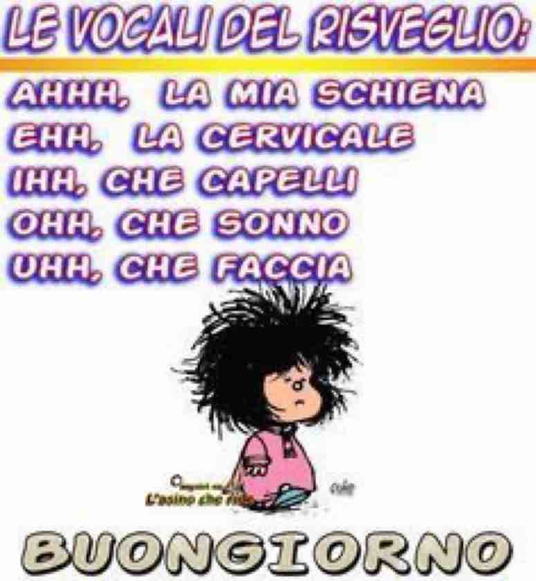 Mafalda 19126