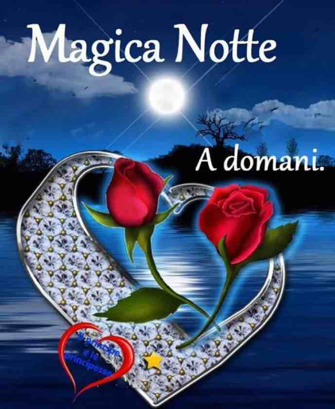 Magica Notte 06185