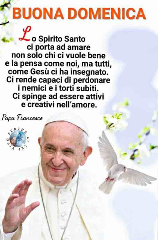 Papa Francesco 04298