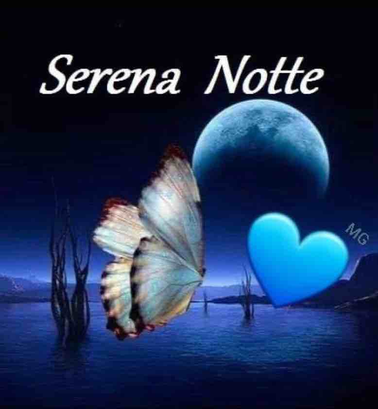 Serena Notte 22049