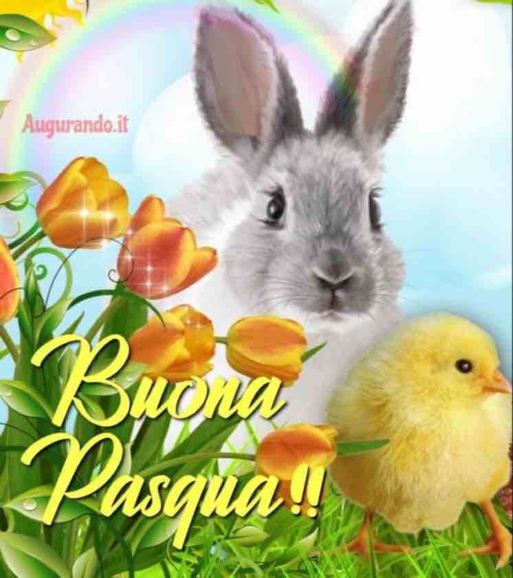 Pasqua 07087